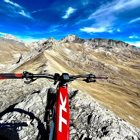 La Nigritella Bardonecchia