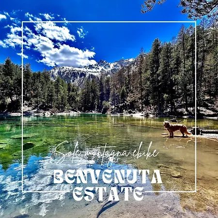 Hotel La Nigritella 3*