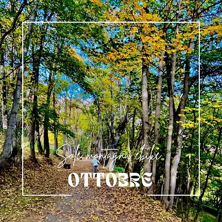 Hotel La Nigritella Bardonnèche