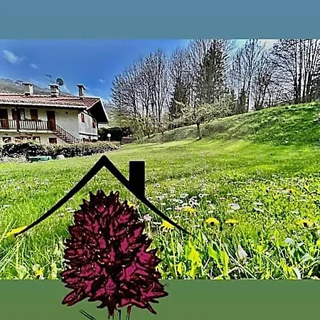 La Nigritella 3* Bardonecchia