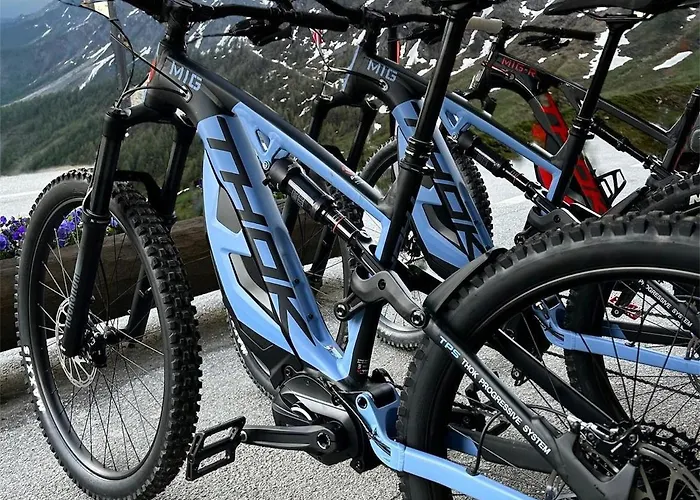 Hotel La Nigritella 3*